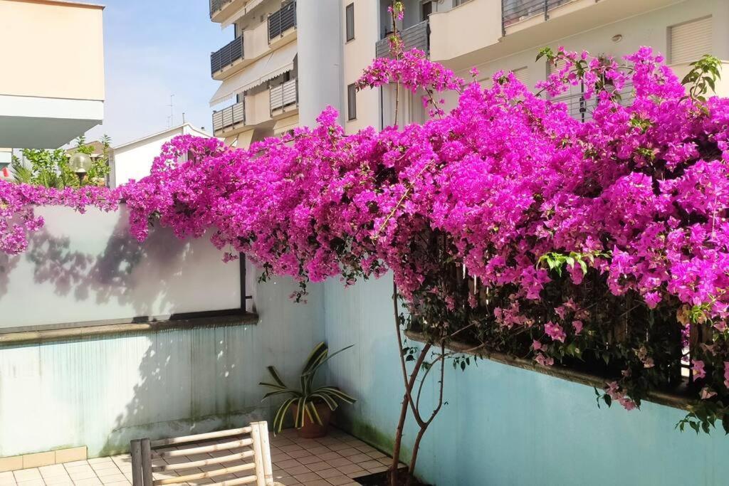 Gardenhouse Un Angolo Di Paradiso Pescara