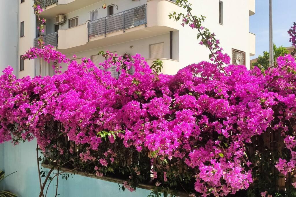 Gardenhouse Un Angolo Di Paradiso Apartment